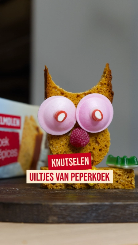 Uitlegcontent voor Vondelmolen